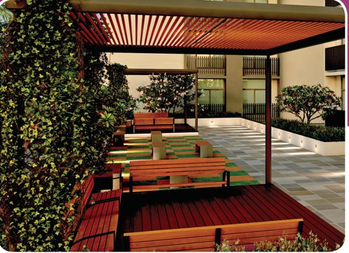  aashiyana Senior Citizen Siteout