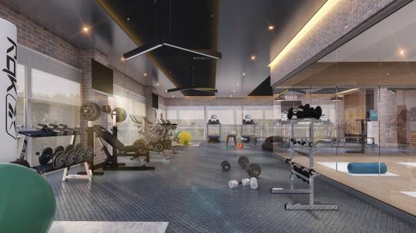 Gymnasium horizon Gymnasium