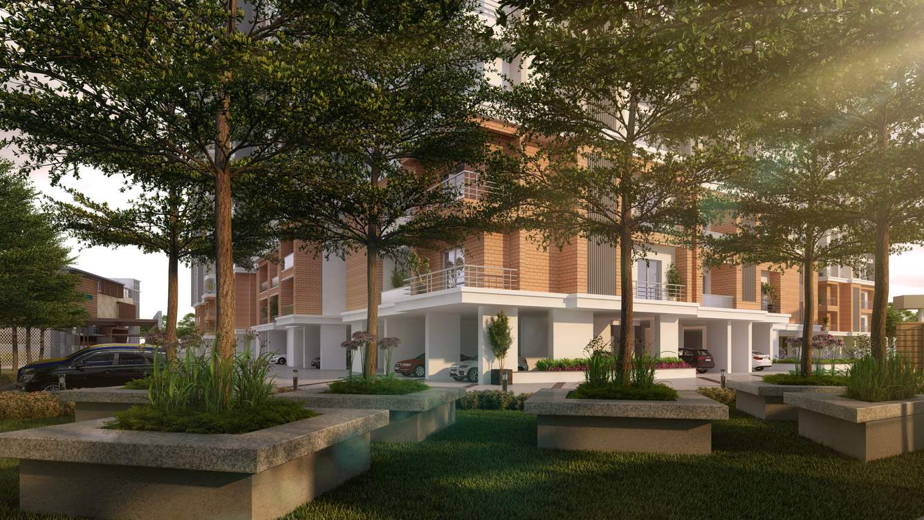  horizon Senior Citizen Sitout