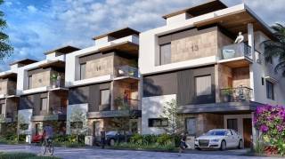 Project Image Project Image