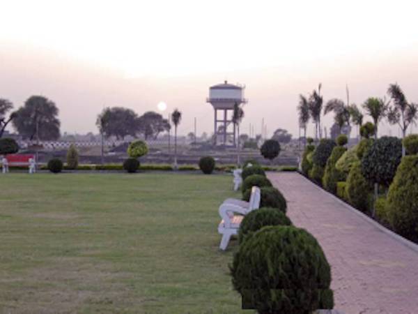  lemon-city-gold Plot