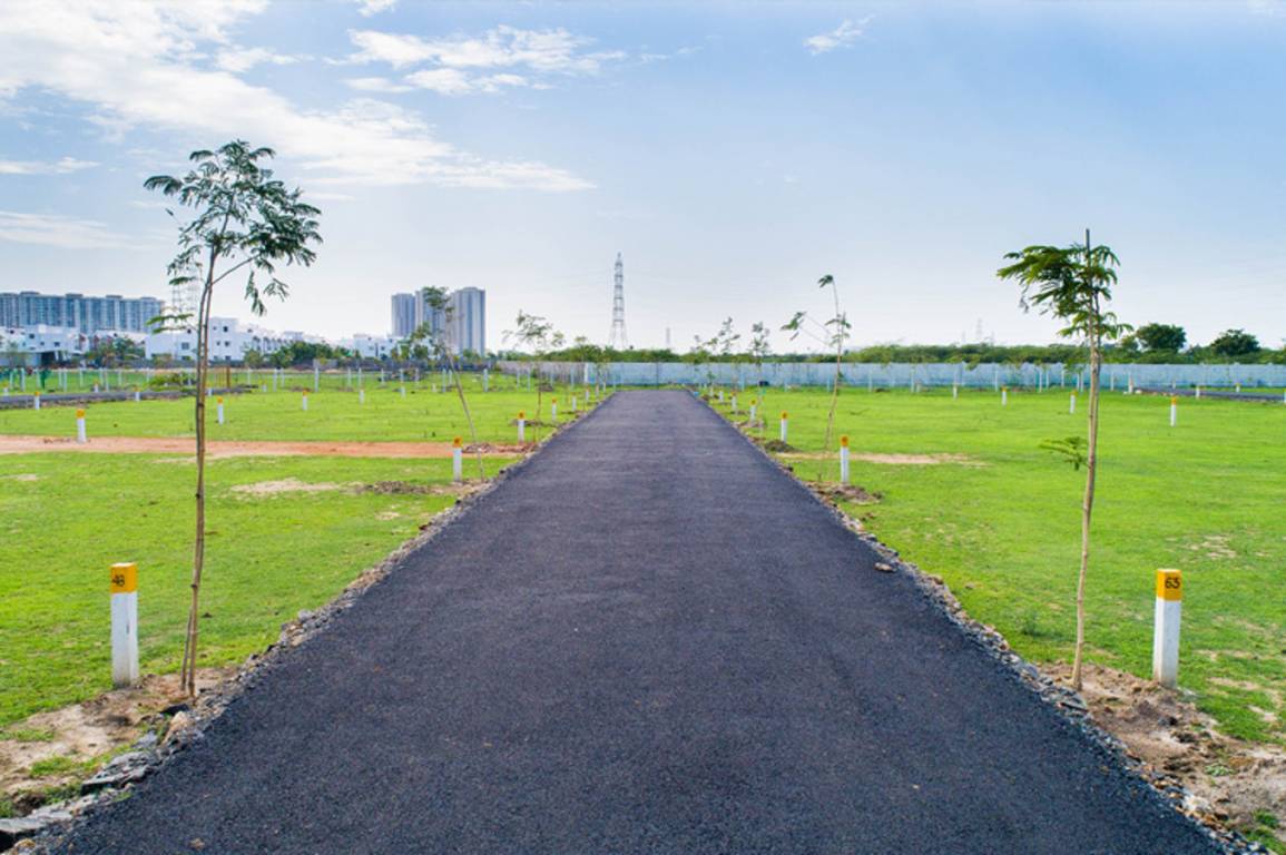 Images for mainOther