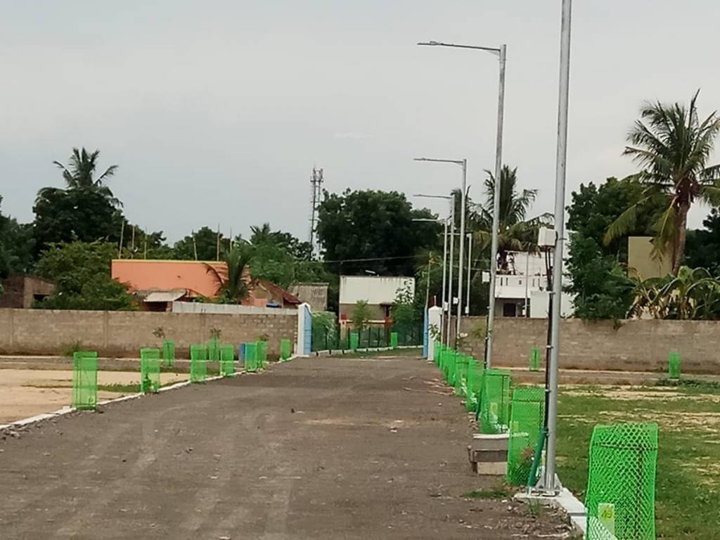 Images for mainOther