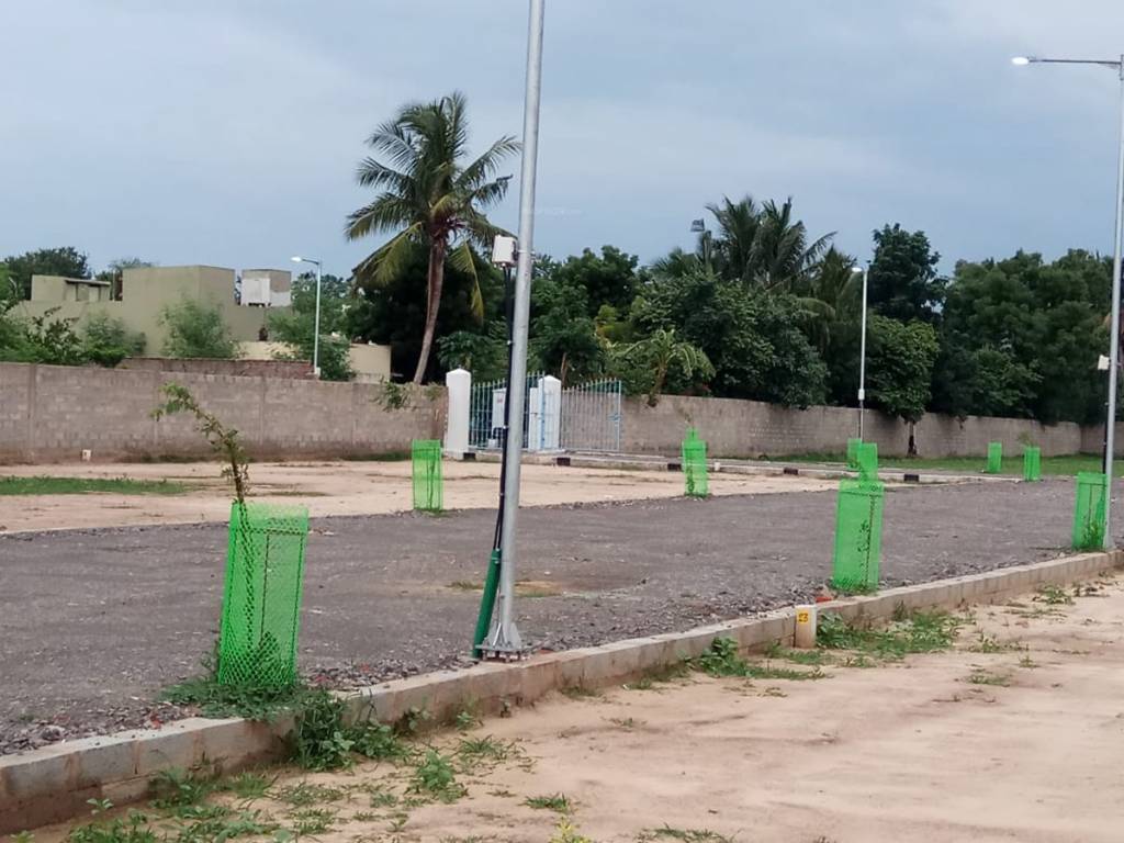 Images for mainOther