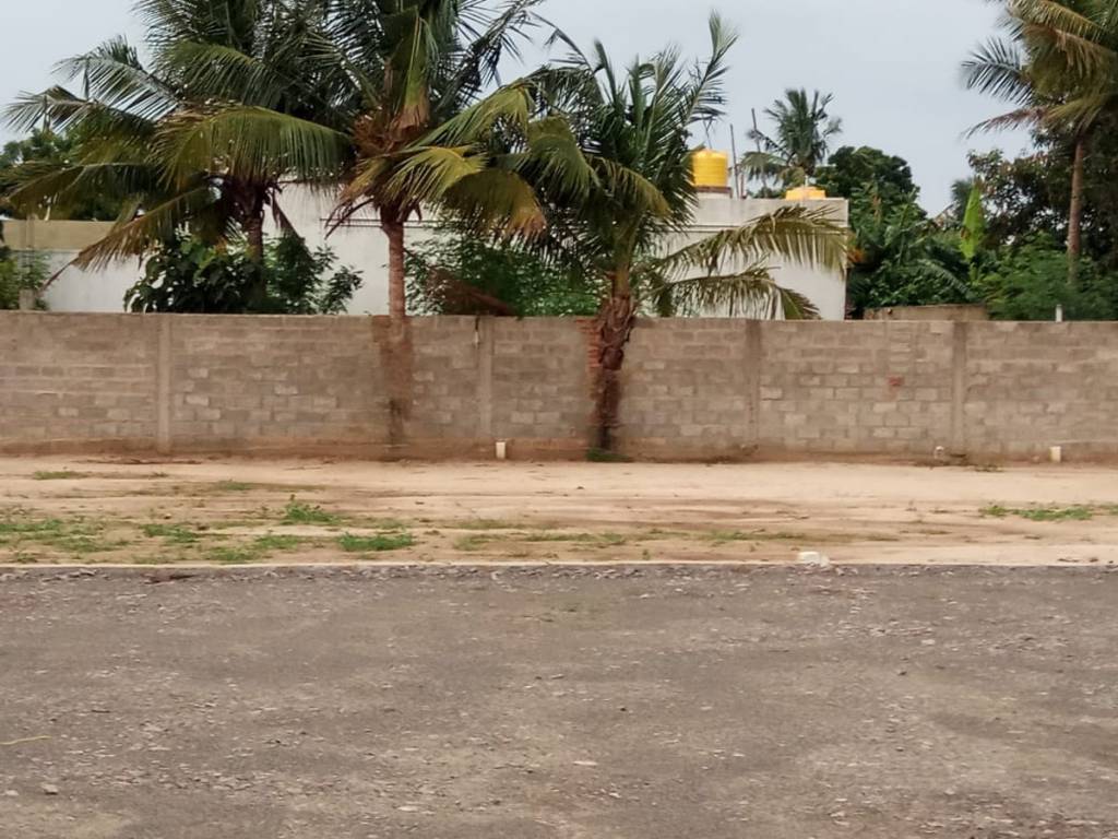 Images for mainOther