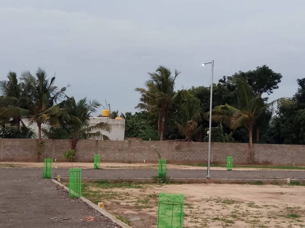 Images for mainOther