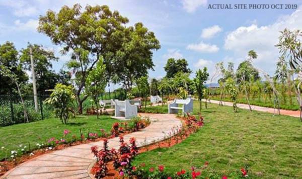 Others premio-phase-1 Others