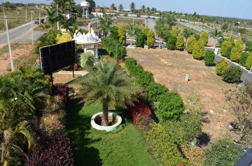  lotus Landscape Garden and Tree Planting