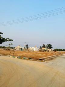 Elevation elite Elevation