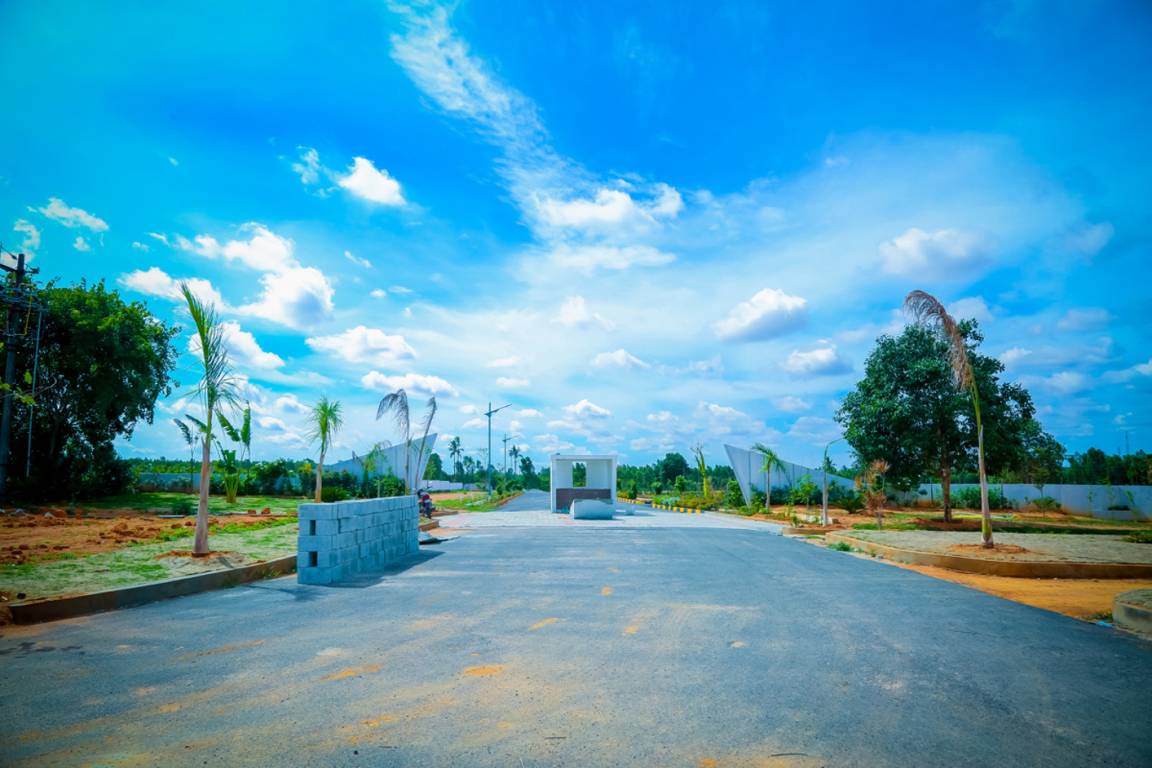  natureville Images for Project