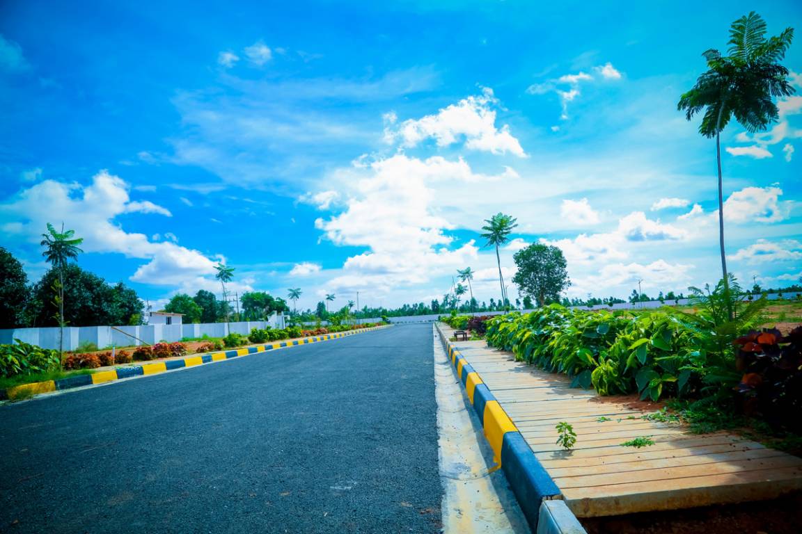 Images for mainOther