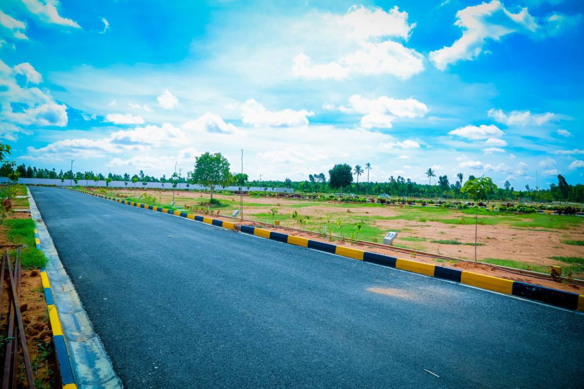 Images for mainOther