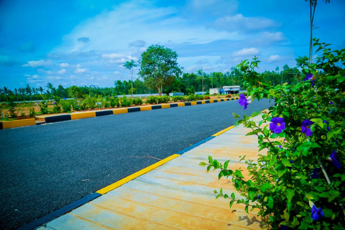 Images for mainOther