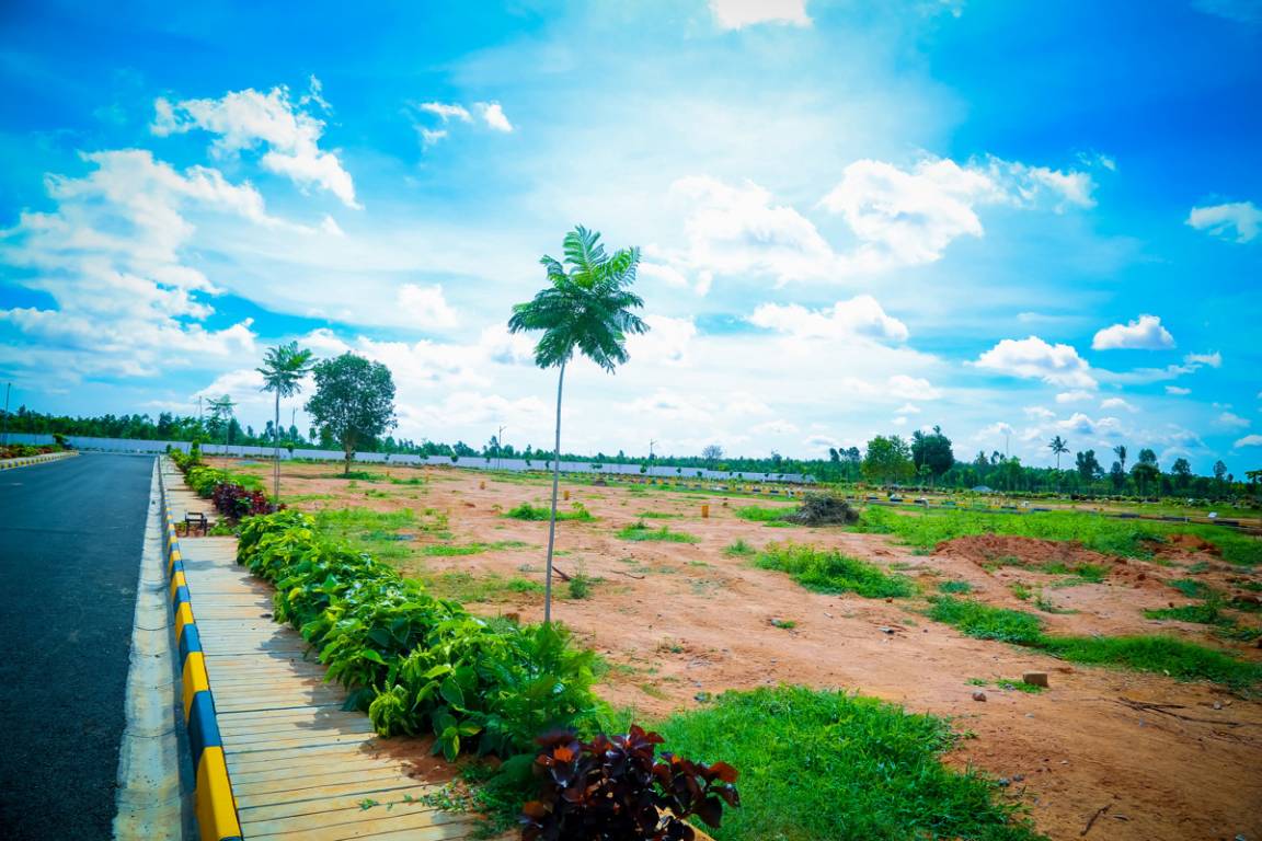 Images for mainOther