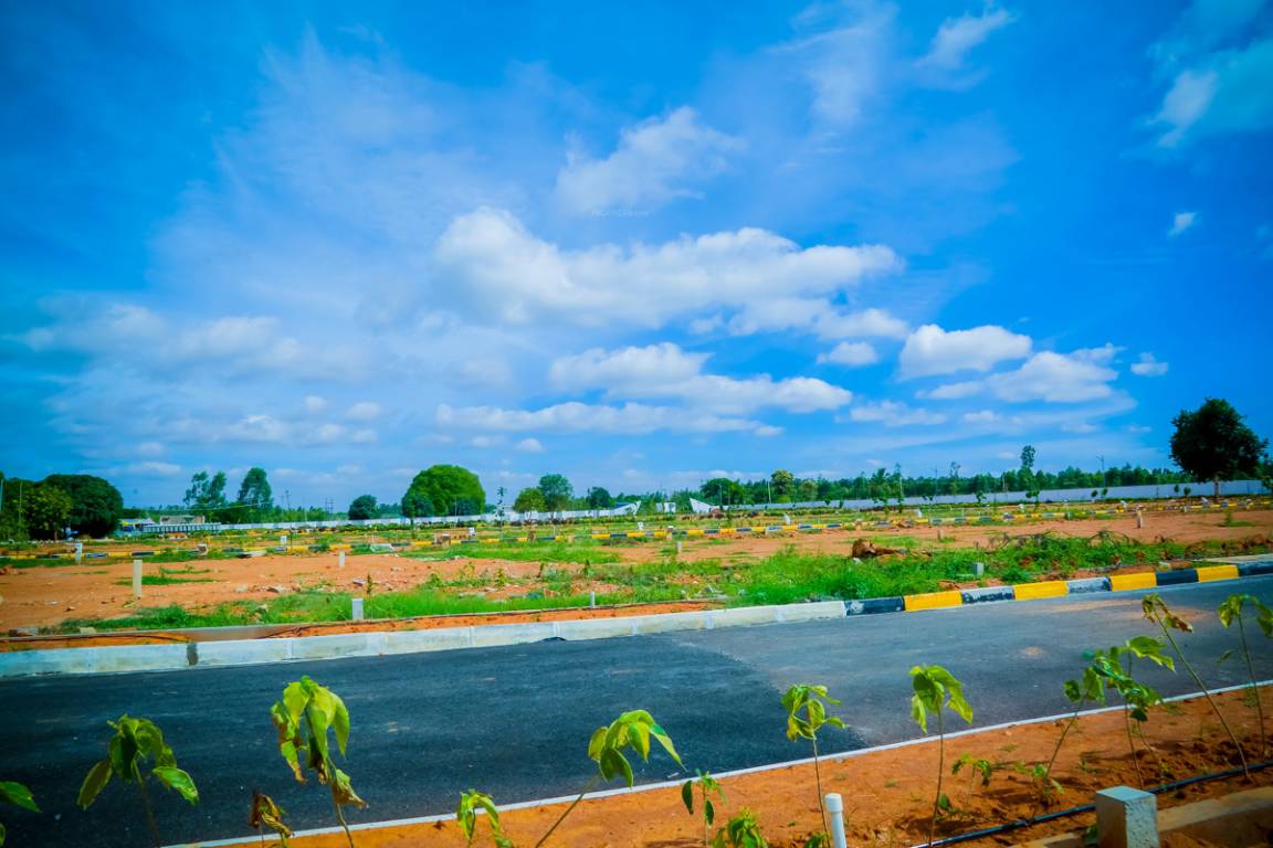 Images for mainOther