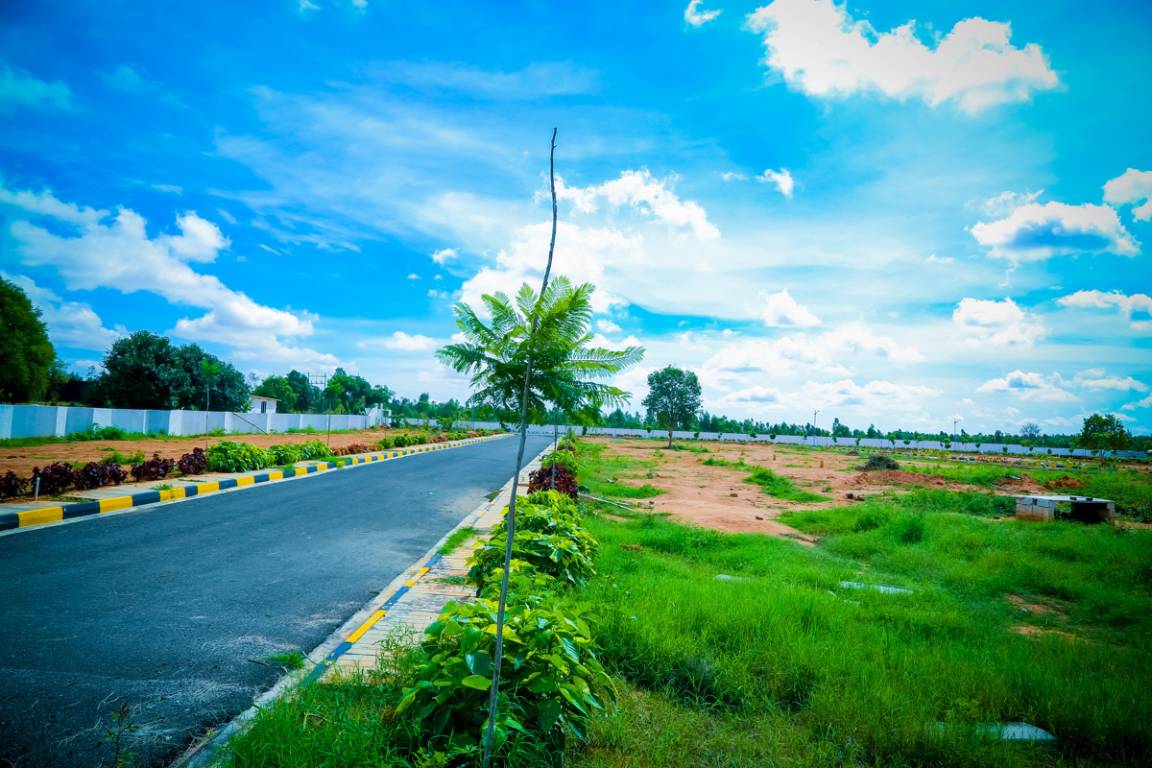 Images for mainOther