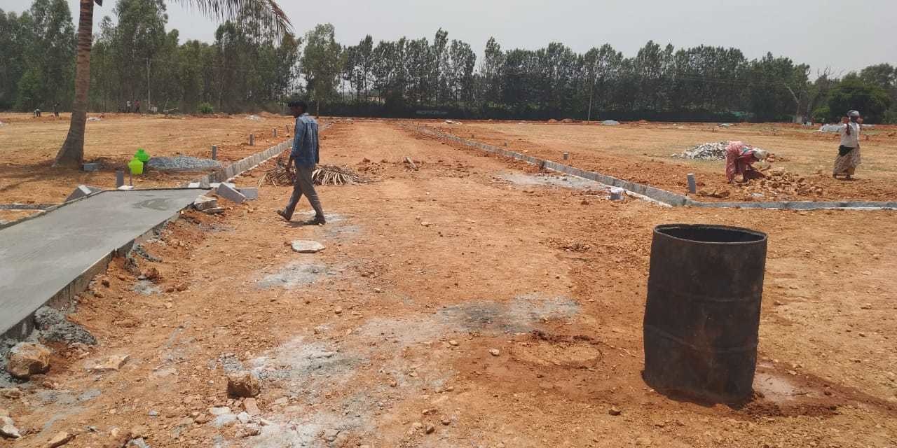 Images for mainOther