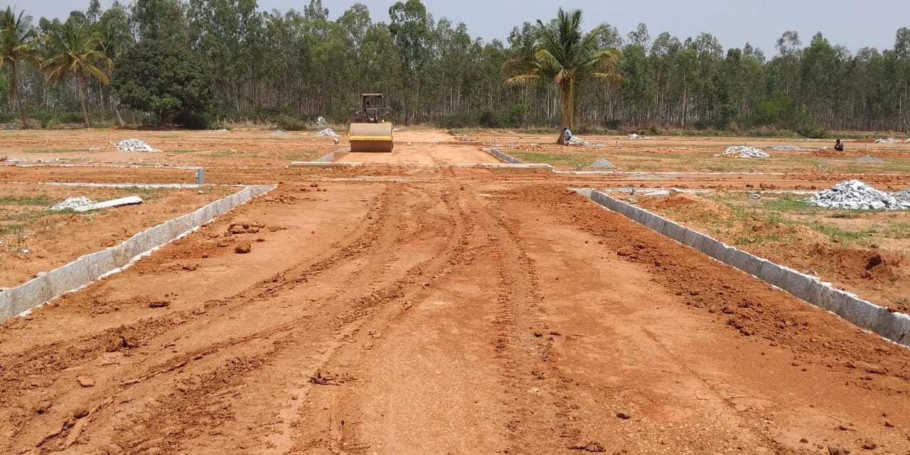 Images for mainOther