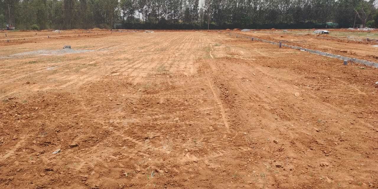 Images for mainOther