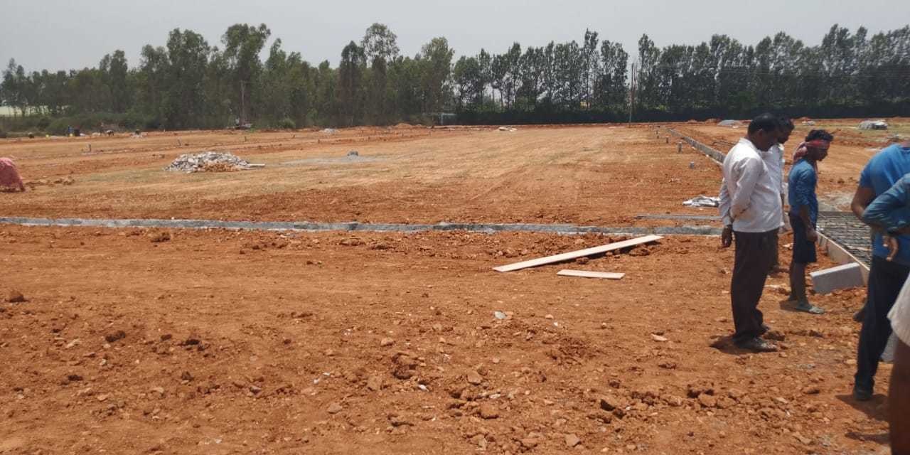 Images for mainOther