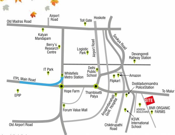  echium-phase-1 Location Plan
