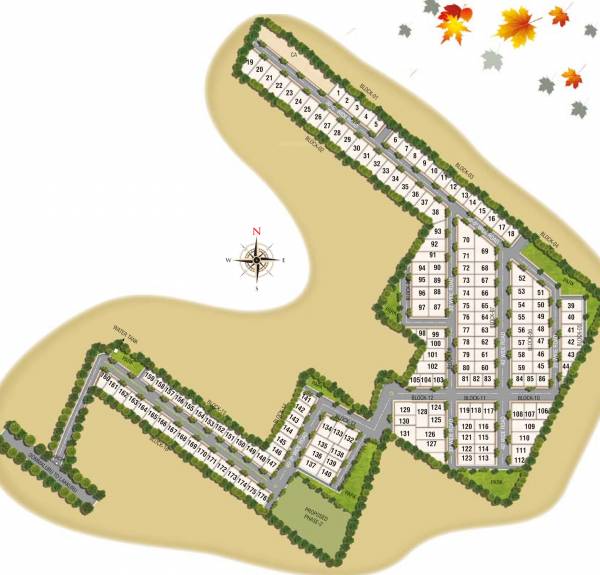  echium-phase-1 Master Plan