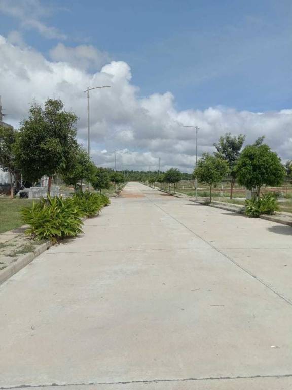  silver oak Internal Roads & Footpaths