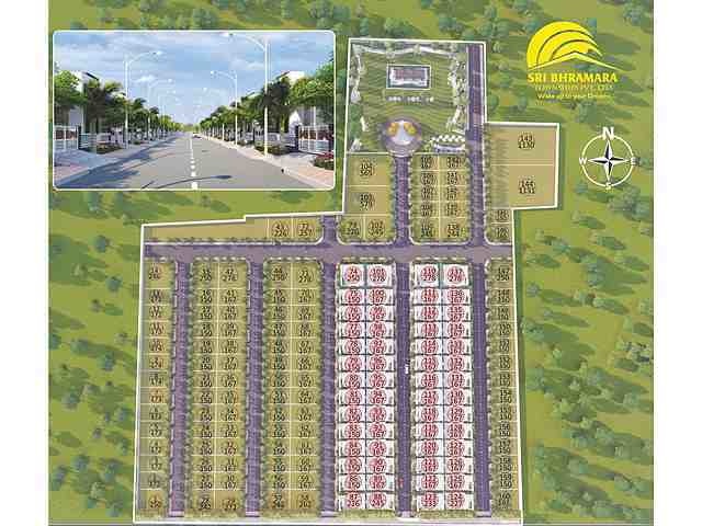 Sri Bhramara Meadows