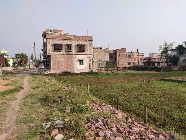 Images for mainOther