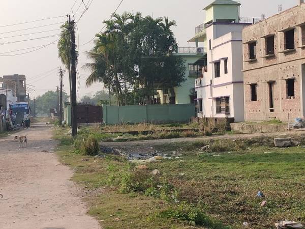 Images for mainOther