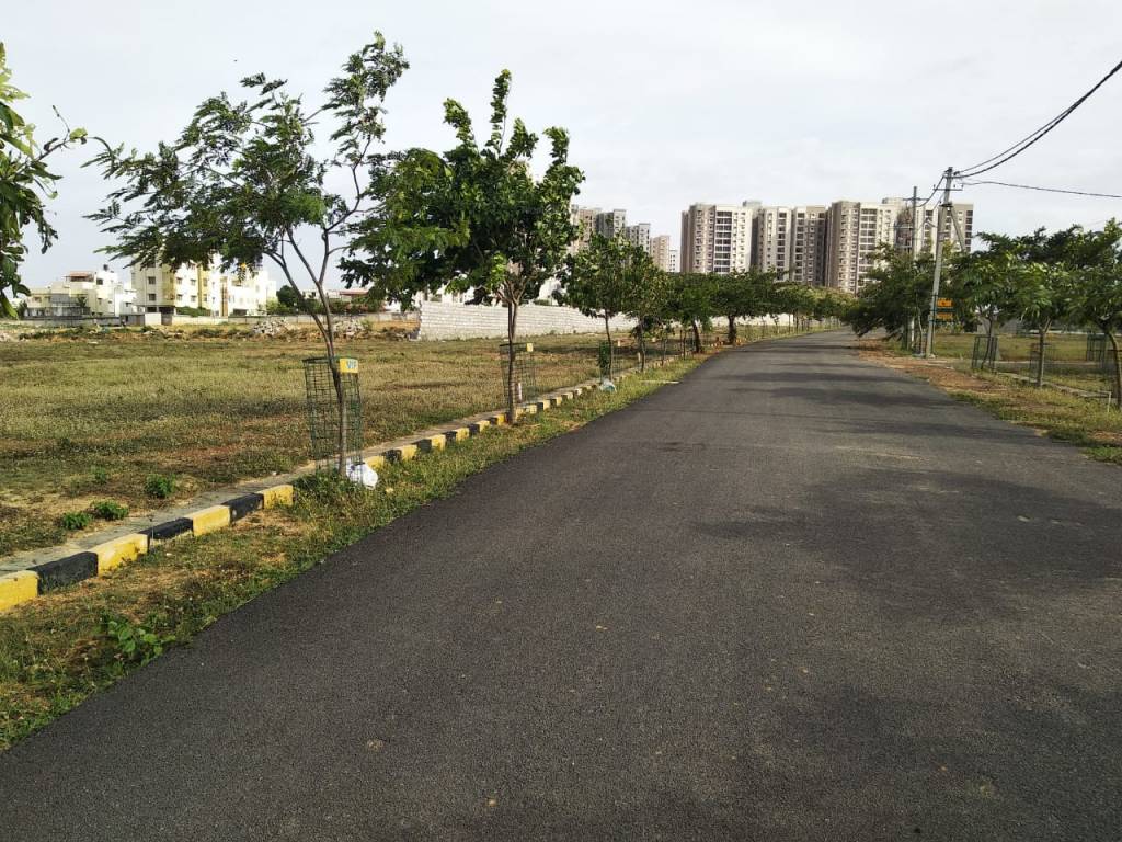 Images for mainOther