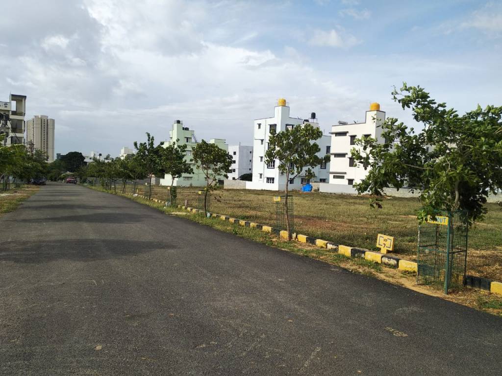 Images for mainOther