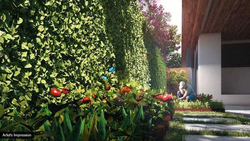  magnolia-cluster-4 Landscaped Gardens