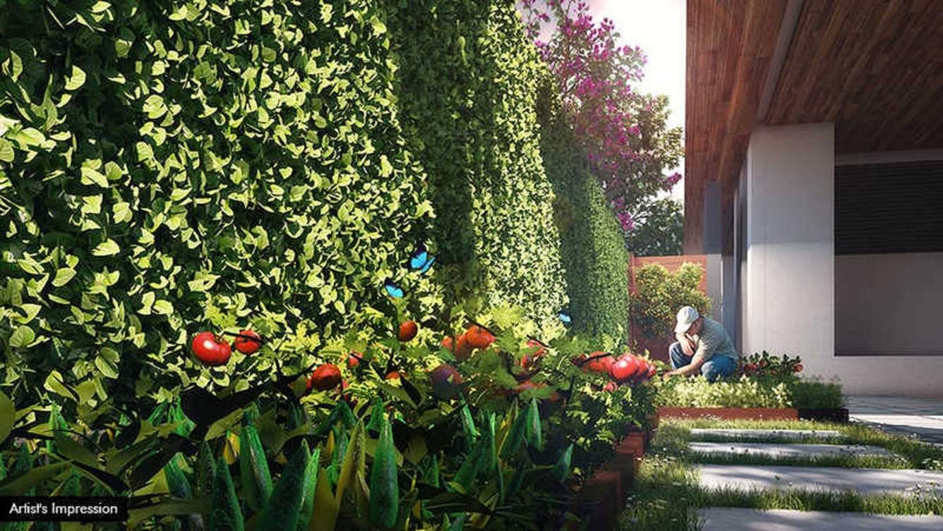  magnolia cluster 4 Landscaped Gardens