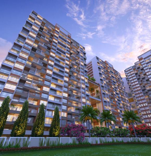  silver-gracia Images for Project