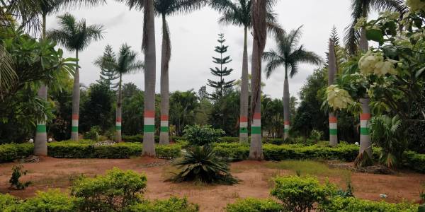 Images for mainOther