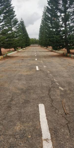 Images for mainOther