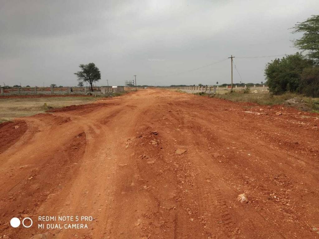 Images for mainOther