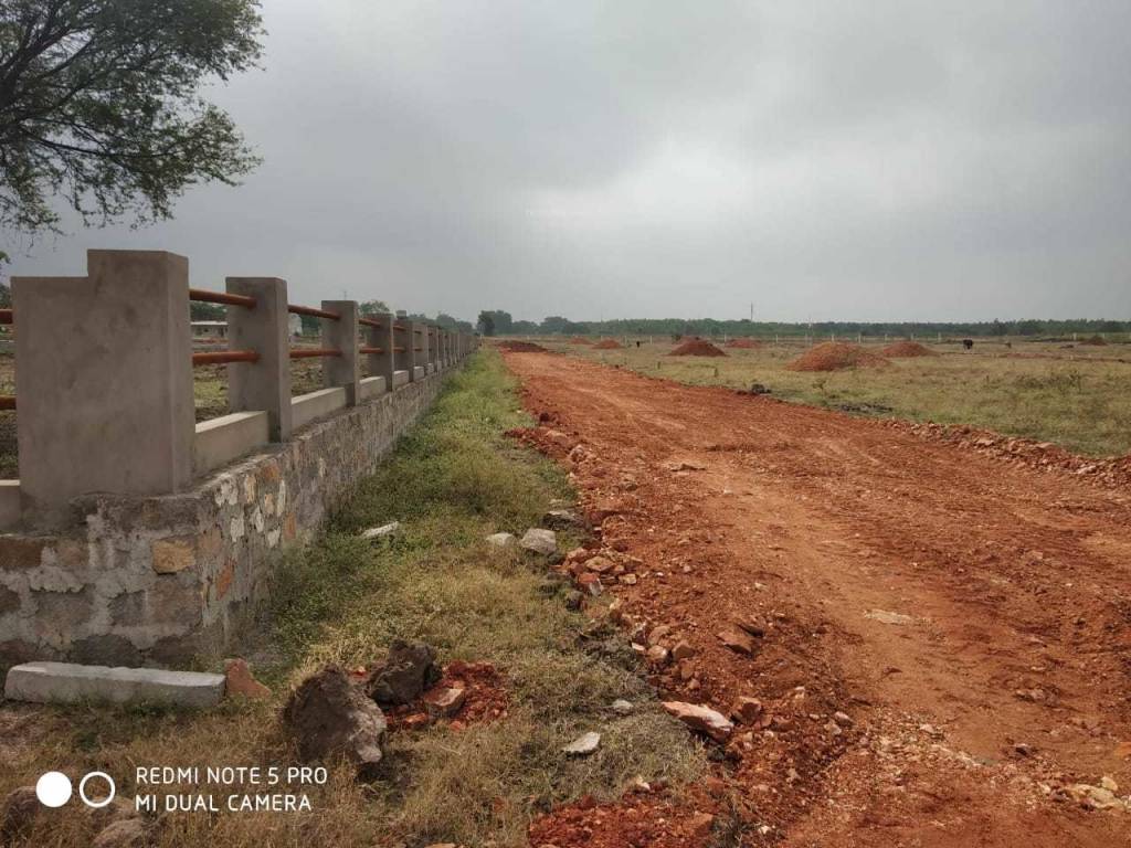 Images for mainOther