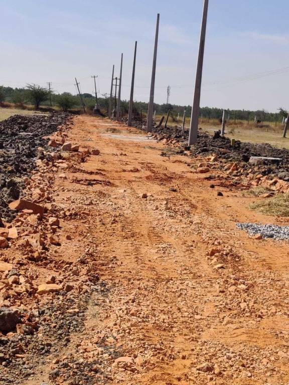 Images for mainOther