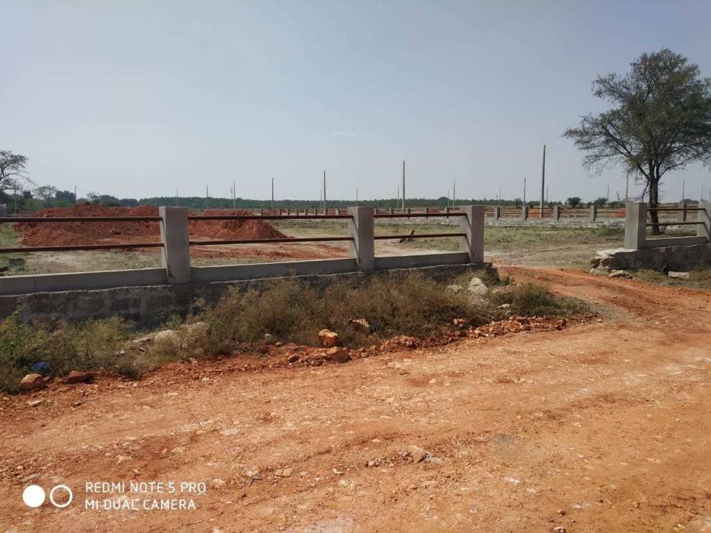 Images for mainOther