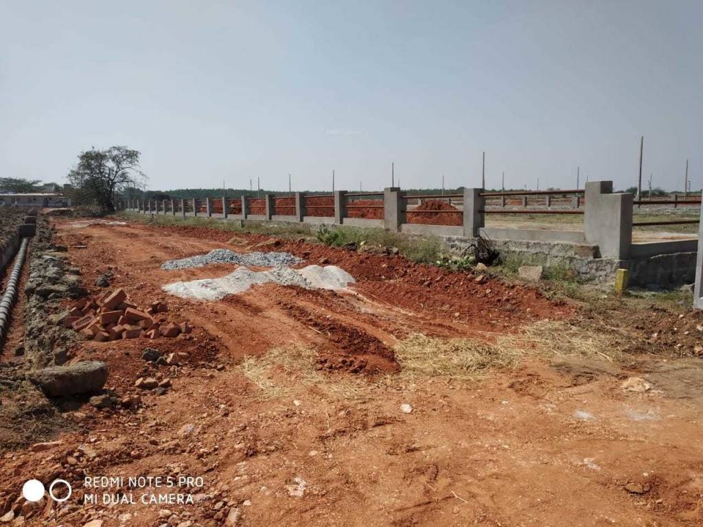 Images for mainOther