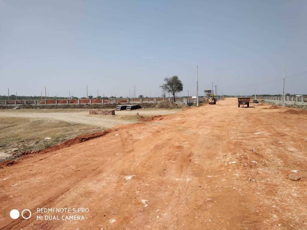 Images for mainOther