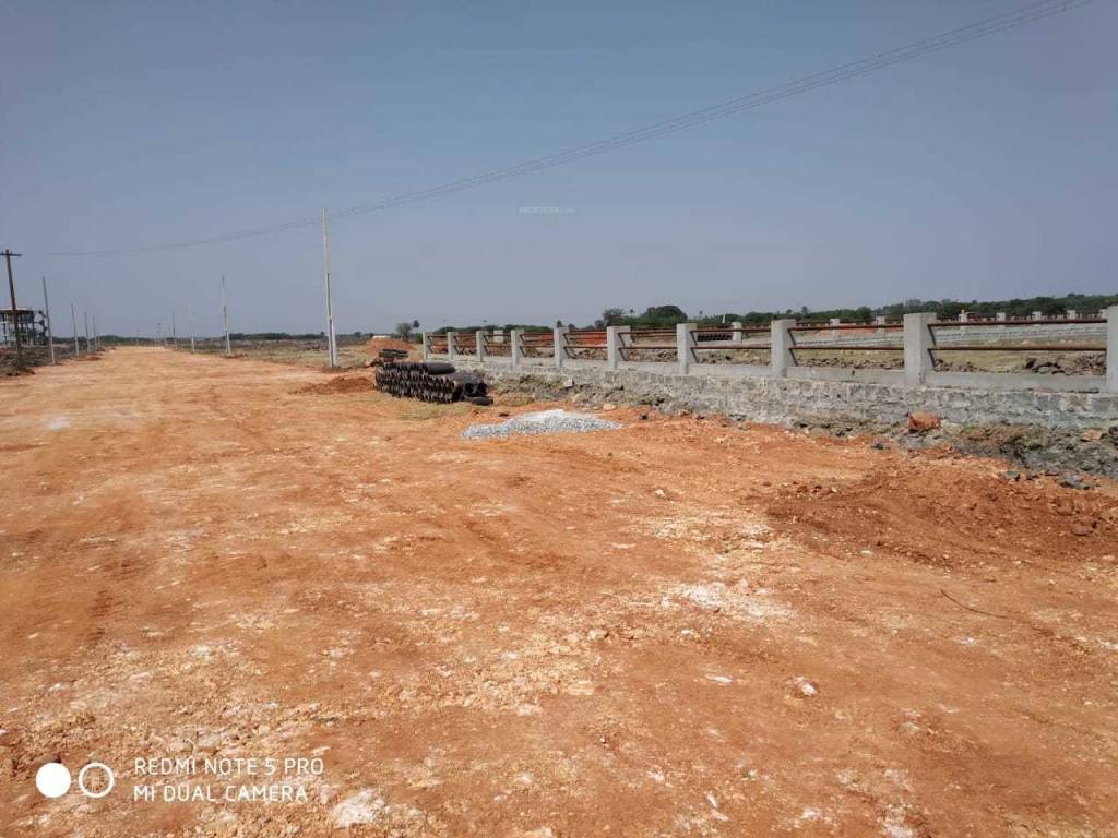 Images for mainOther