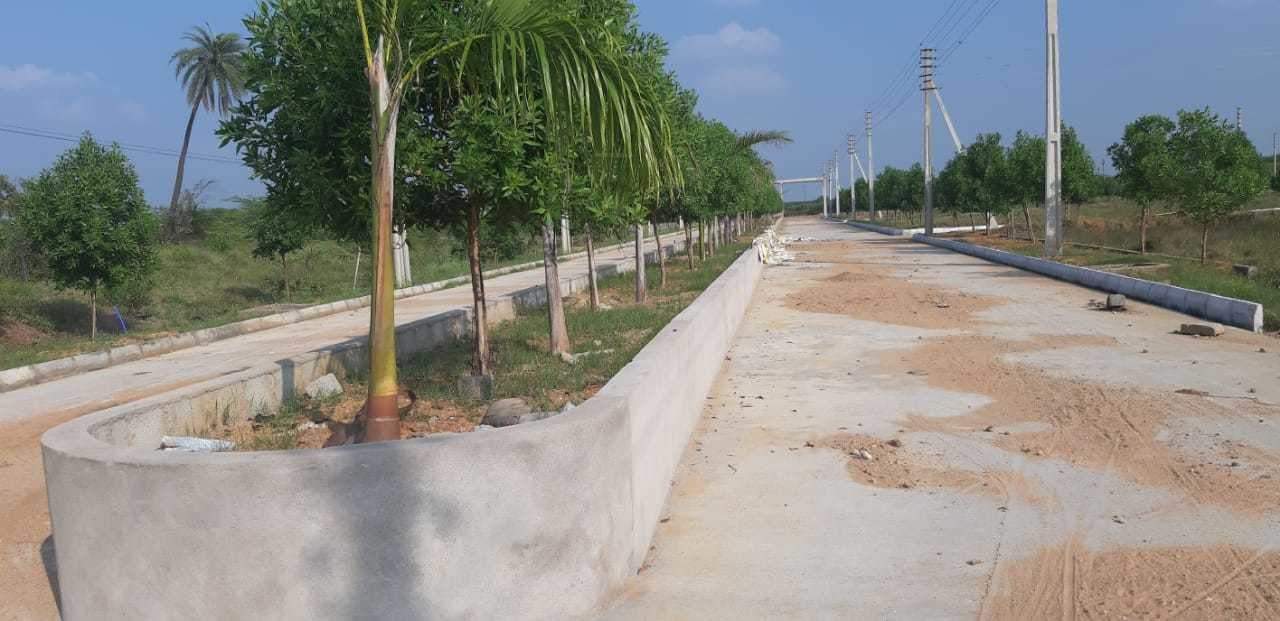  lr song of the south Plot