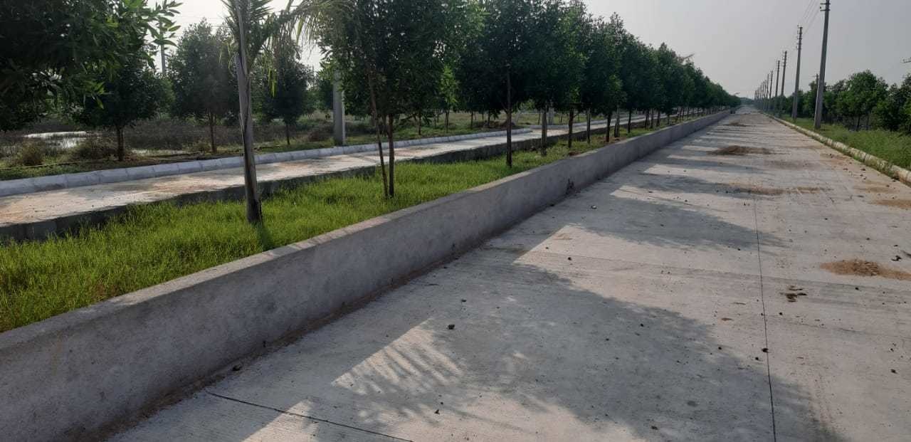  lr song of the south Plot