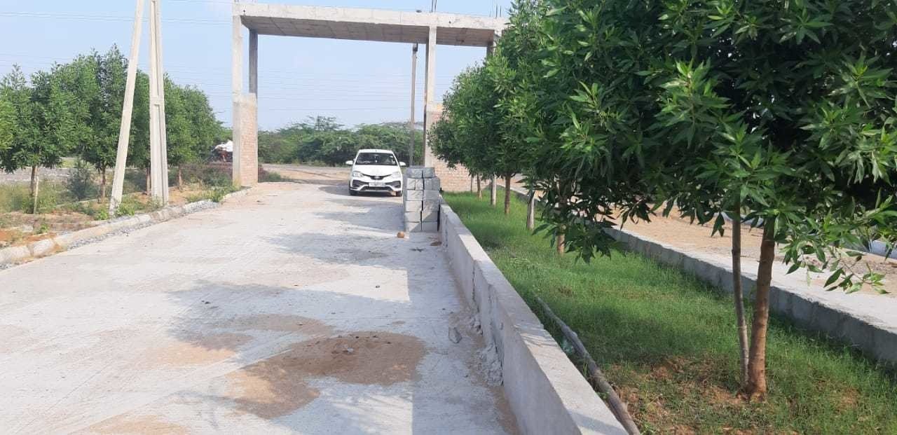  lr song of the south Plot