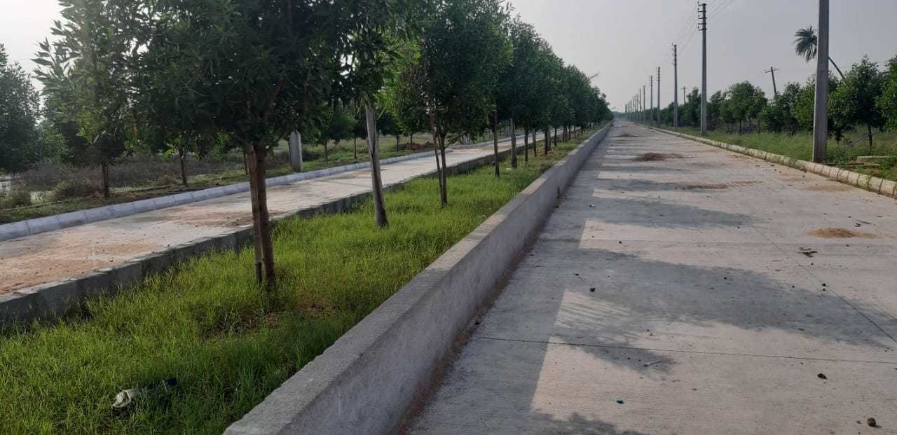  lr song of the south Plot