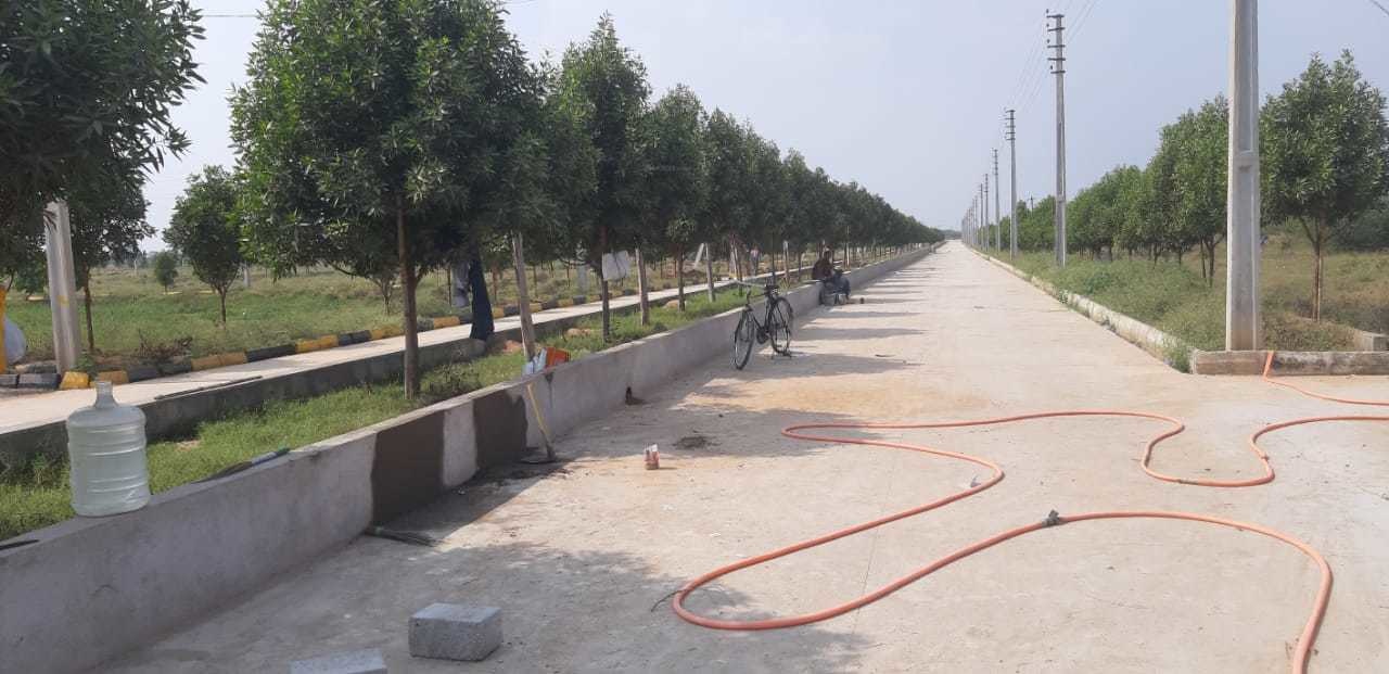  lr song of the south Plot