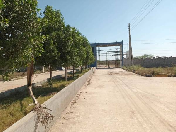  lr-song-of-the-south Plot